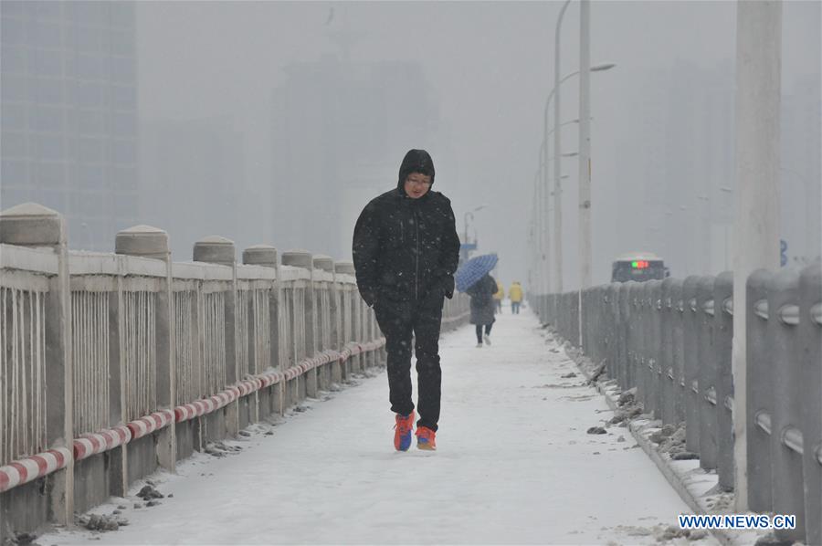 CHINA-CHANGSHA-SNOWFALL(CN)