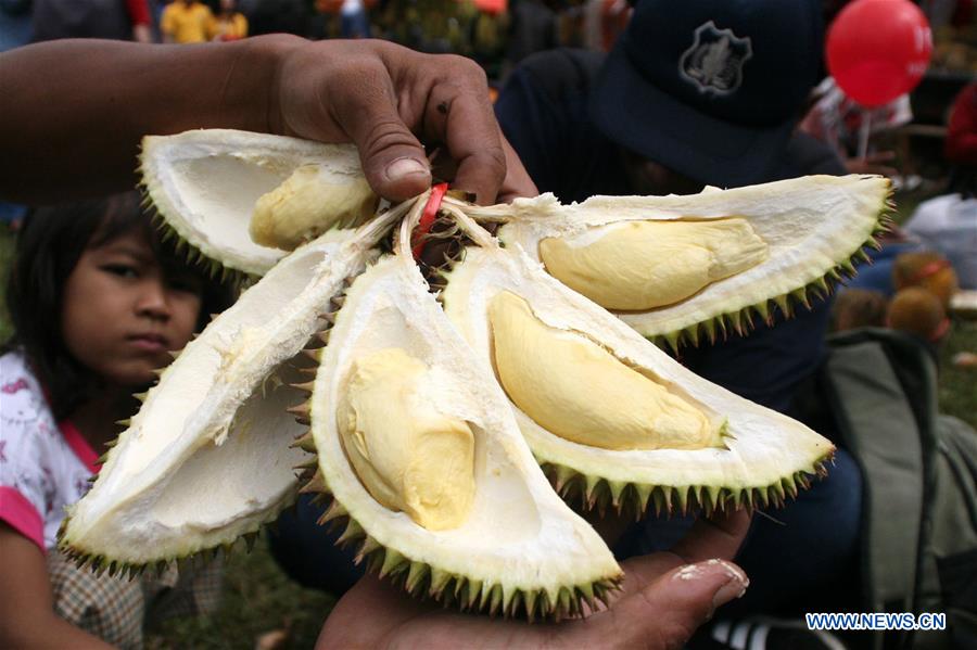 INDONESIA-JOMBANG-DURIAN FEAST