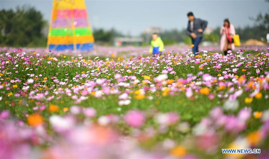 CHINA-HAINAN-FLOWER (CN)