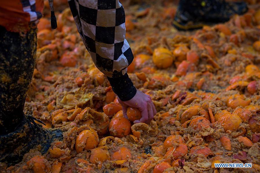 ITALY-IVREA-CARNIVAL-"BATTLE OF THE ORANGES"