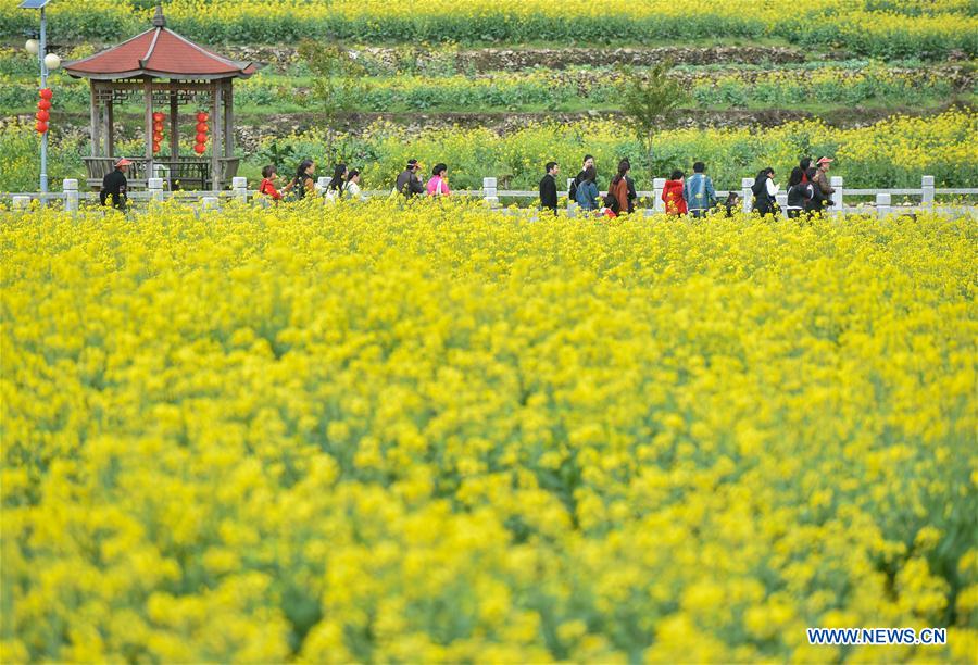 CHINA-FUJIAN-QUANZHOU-COLE FLOWERS (CN)