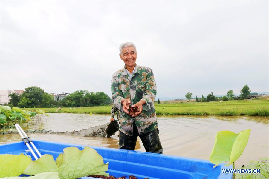 #CHINA-EARLY SUMMER-FARM WORK(CN)