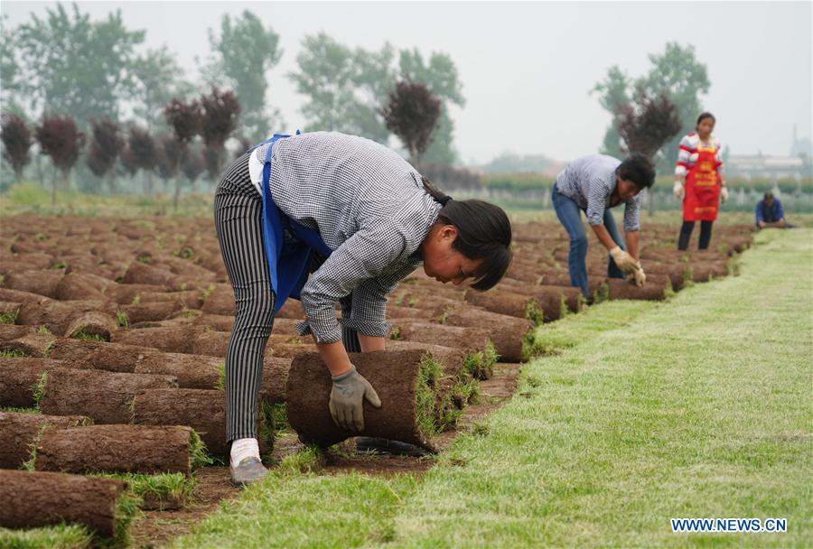 CHINA-XI'AN-RURAL ECONOMY-TURF-BUSINESS (CN)