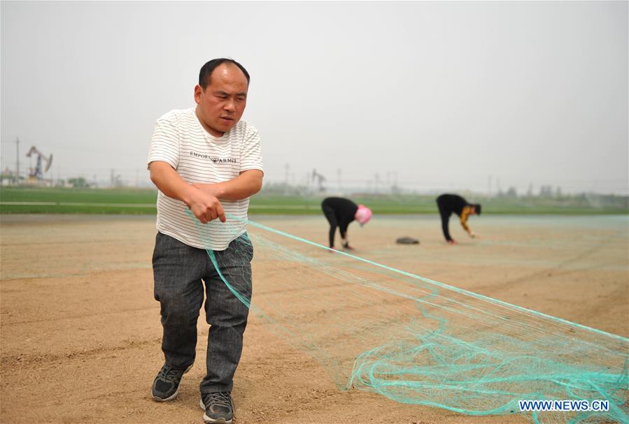 CHINA-HEBEI-CANGZHOU-RURAL ENTREPRENEUR STORY (CN)