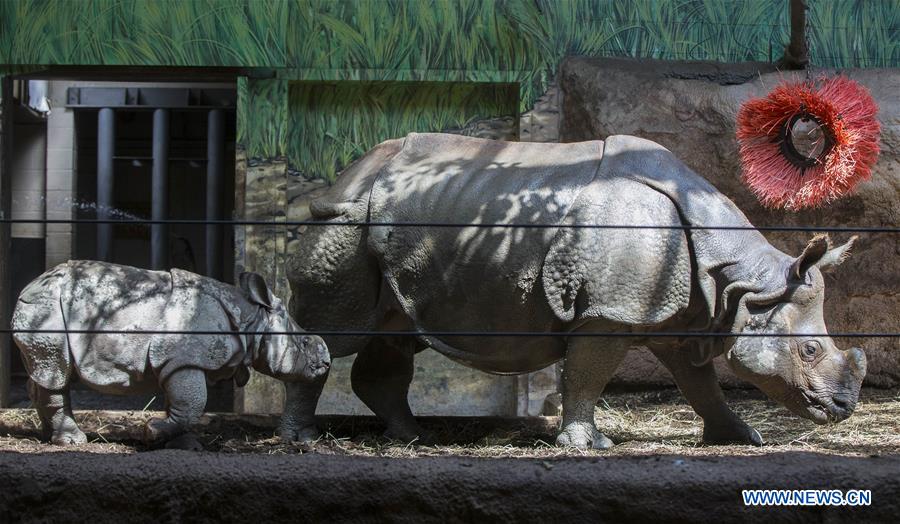 CANADA-TORONTO-MOTHER'S DAY-ZOO