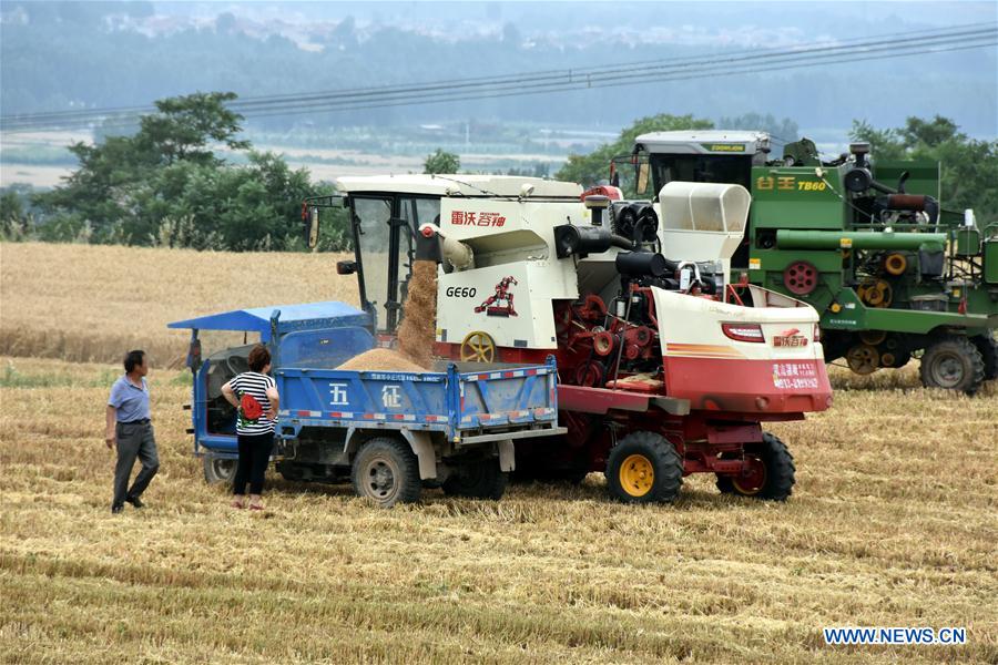 CHINA-XI'AN-WHEAT-HARVEST (CN)