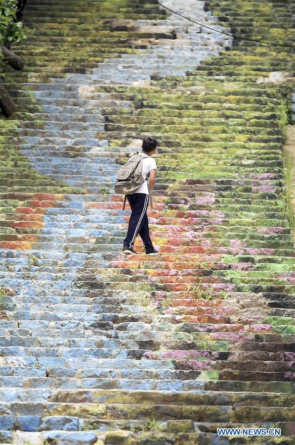 HONDURAS-SAN JUAN DE FLORES-MURALS