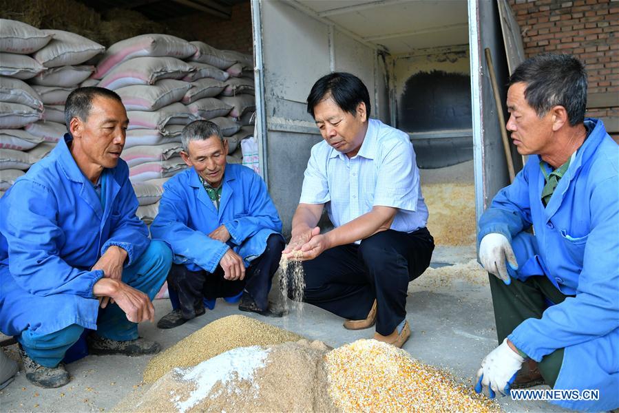 CHINA-SHANXI-YANGQU-ALPACA BREEDING-POVERTY ALLEVIATION (CN)