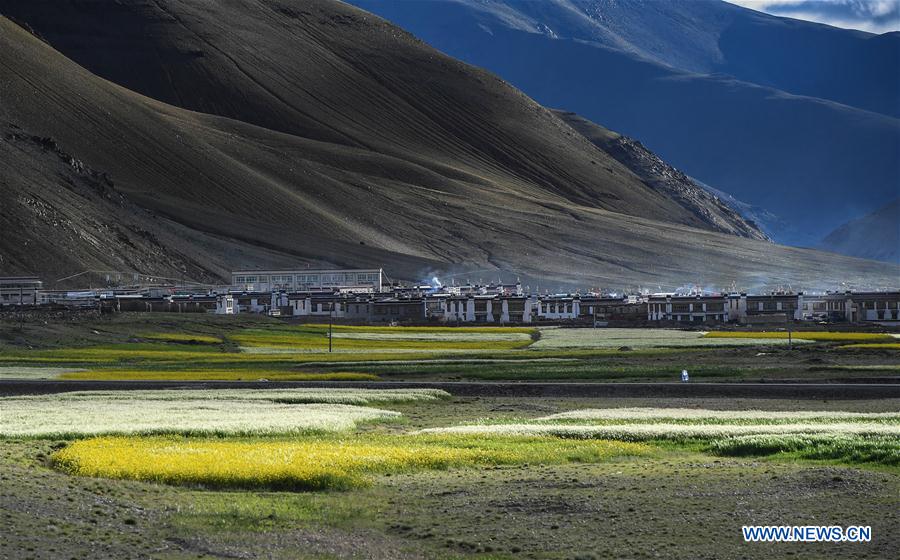 CHINA-TIBET-XIGAZE-SCENERY (CN)