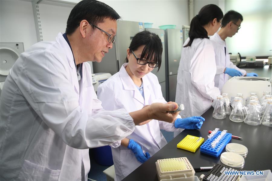 CHINA-SHANGHAI-GENOME-EDITING-SINGLE CHROMOSOME (CN)