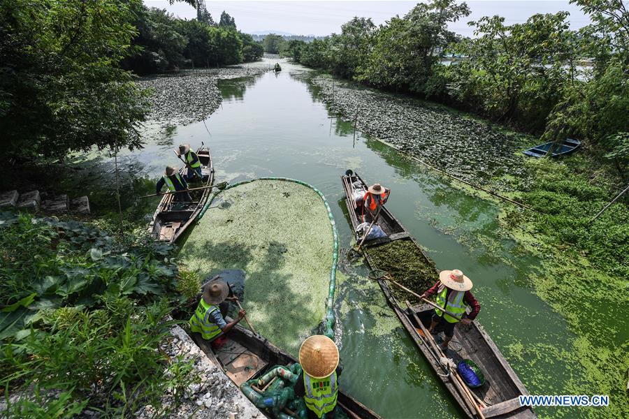 CHINA-ZHEJIANG-RIVER-CLEARANCE (CN)