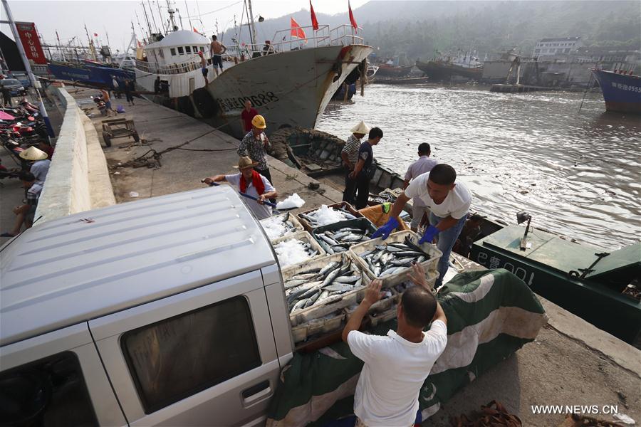 #CHINA-ZHEJIANG-TYPHOON-HARBOUR (CN)