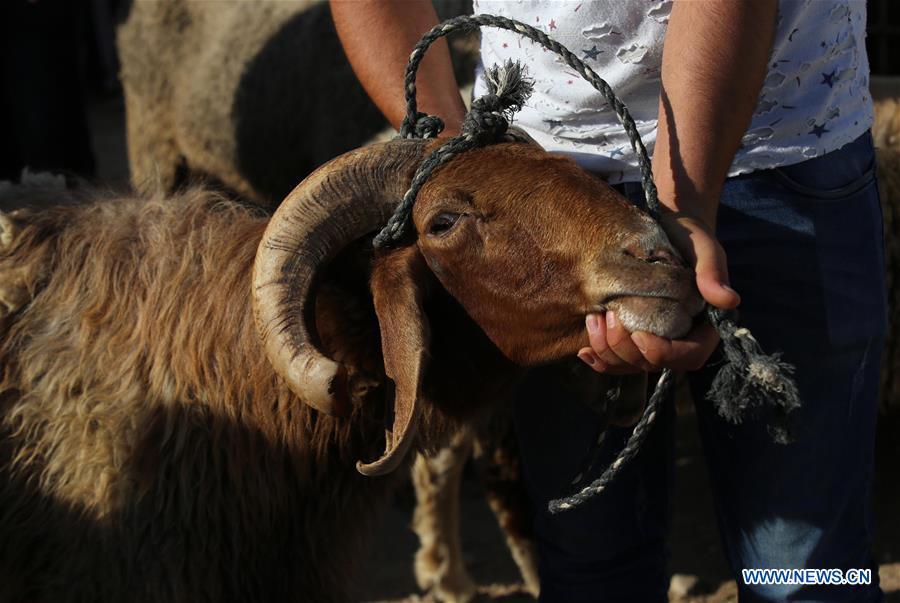 MIDEAST-NABLUS-EID AL-ADHA-LIVESTOCK MARKET