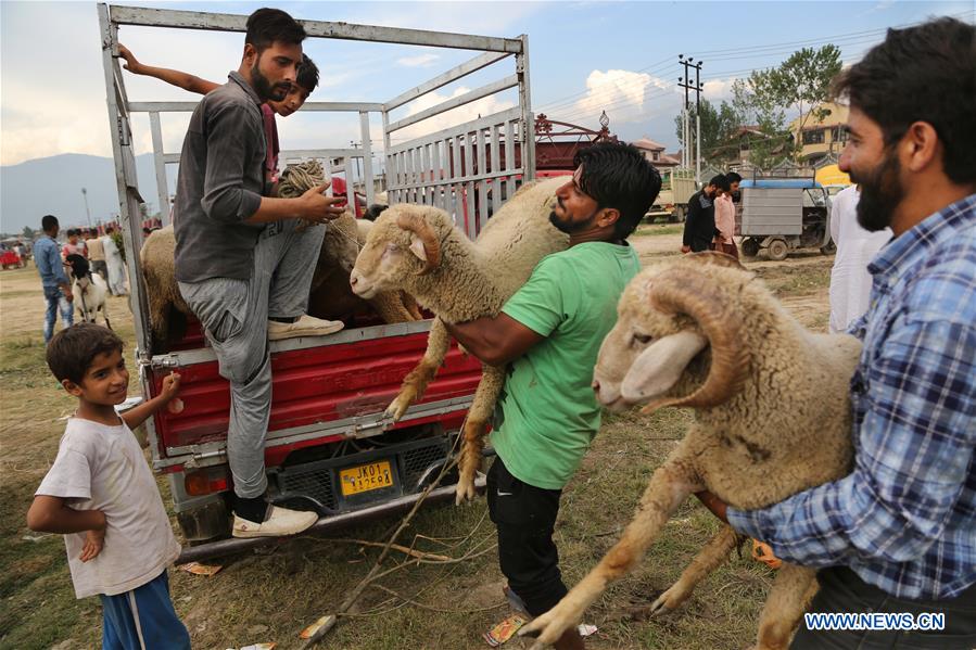 KASHMIR-SRINAGAR-LIVESTOCK MARKET-EID AL-ADHA