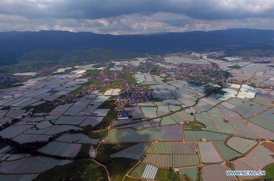 CHINA-YUNNAN-XUNDIAN-AUTUMN SCENERY (CN)