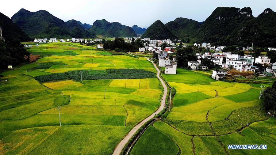 CHINA-GUANGXI-LONGLIN-AUTUMN SCENERY (CN)