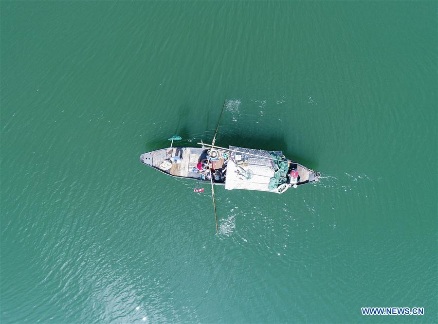 CHINA-ZHEJIANG-HANGZHOU-FISHERY-HARVEST (CN)