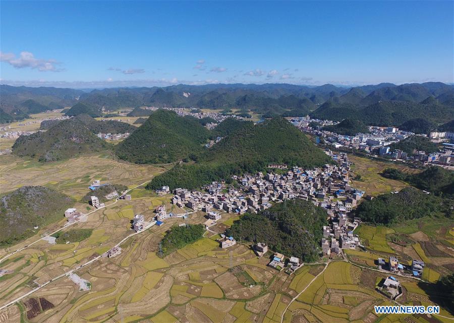 CHINA-YUNNAN-GUANGNAN-RICE FIELDS-HARVEST (CN)