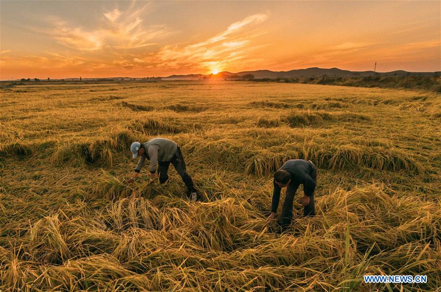 XINHUA PHOTO WEEKLY CHOICES