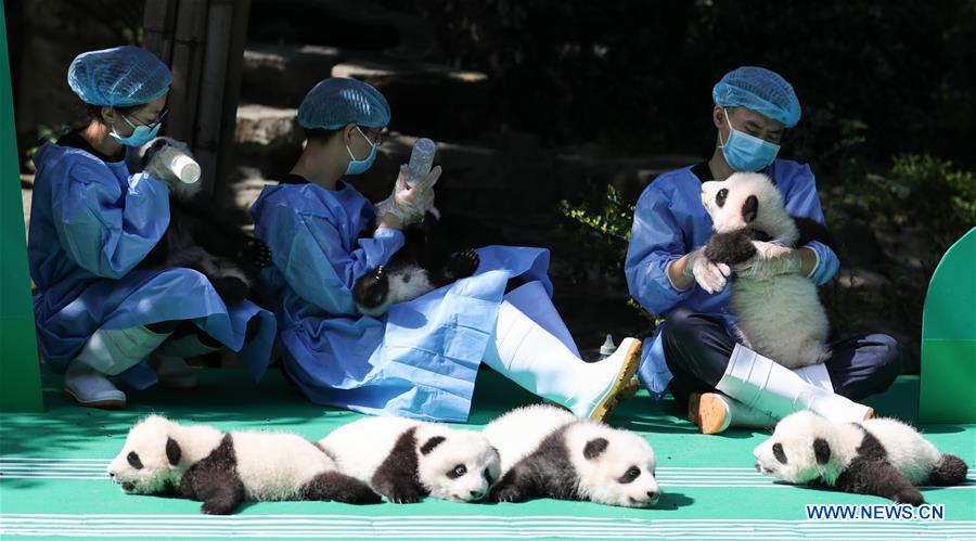 XINHUA PHOTO WEEKLY CHOICES