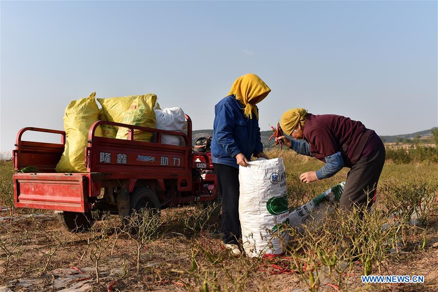 CHINA-SHANXI-POVERTY ALLEVIATION (CN)