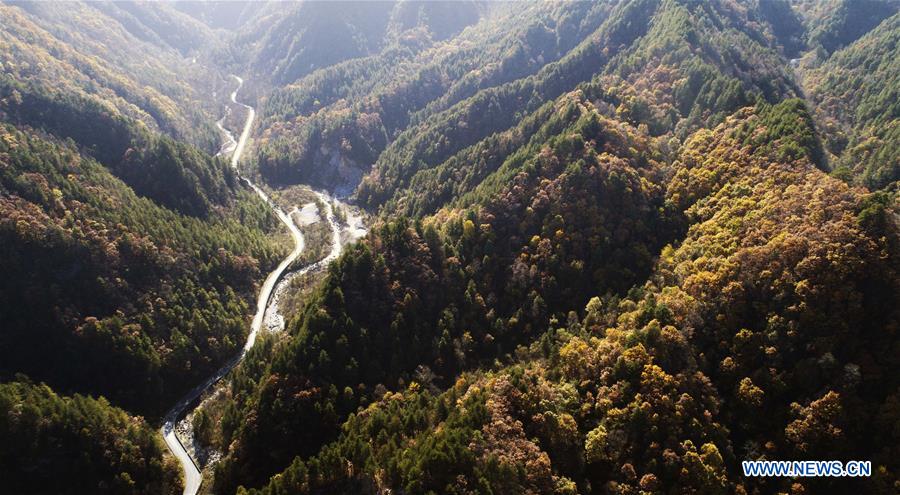 CHINA-QINLING MOUNTAINS-AUTUMN SCENERY(CN)