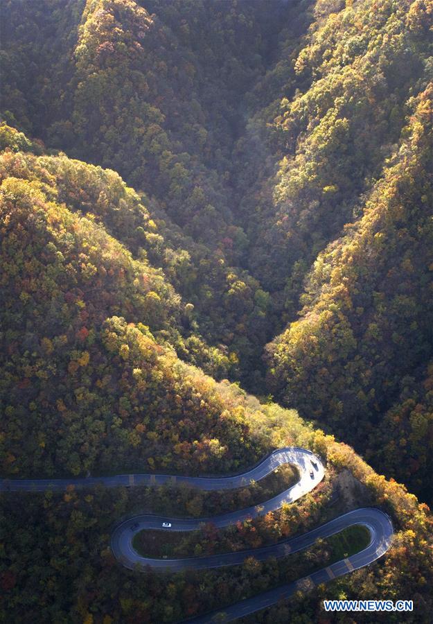 CHINA-QINLING MOUNTAINS-AUTUMN SCENERY(CN)