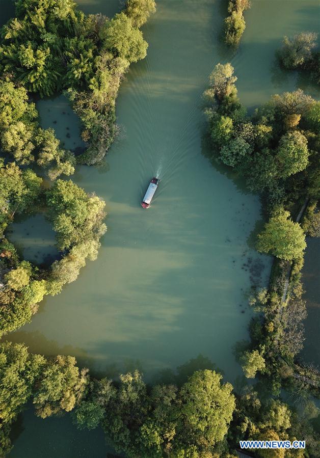 CHINA-HANGZHOU-XIXI WETLAND-AUTUMN SCENERY (CN)