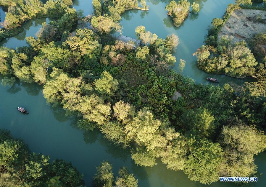 CHINA-HANGZHOU-XIXI WETLAND-AUTUMN SCENERY (CN)