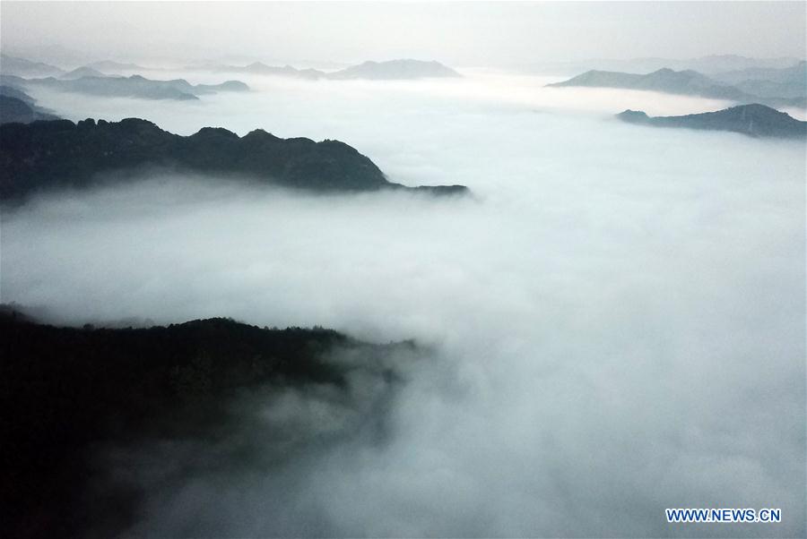 CHINA-GUIZHOU-TONGREN-ADVECTION FOG (CN)