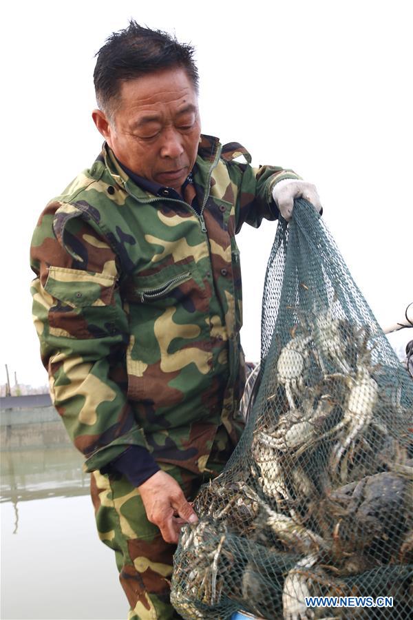 #CHINA-SIHONG-CRAB-HARVEST (CN)