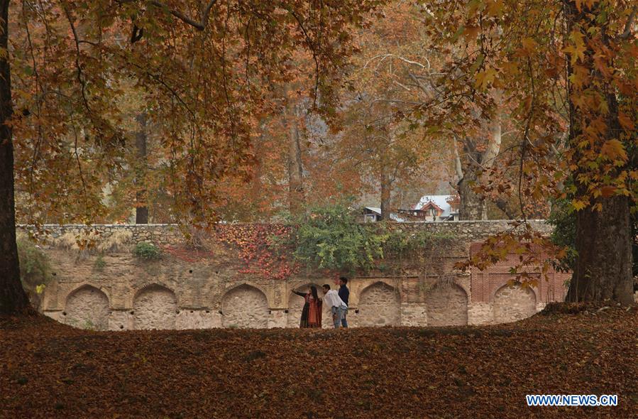 KASHMIR-SRINAGAR-AUTUMN