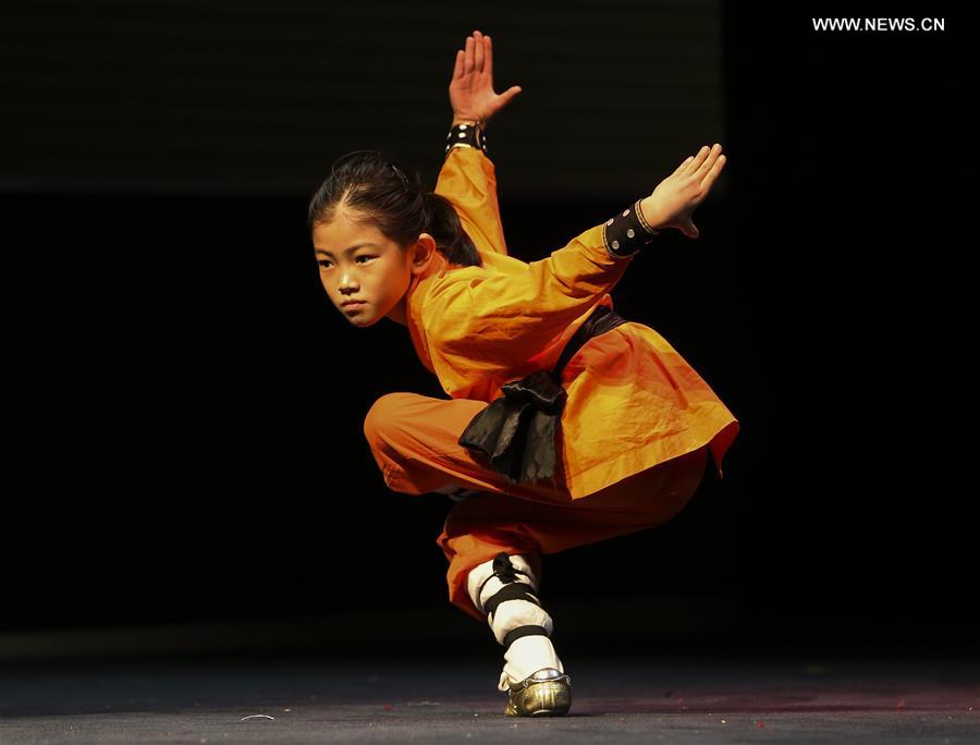 U.S.-HOUSTON-SHAOLIN KUNG FU SHOW