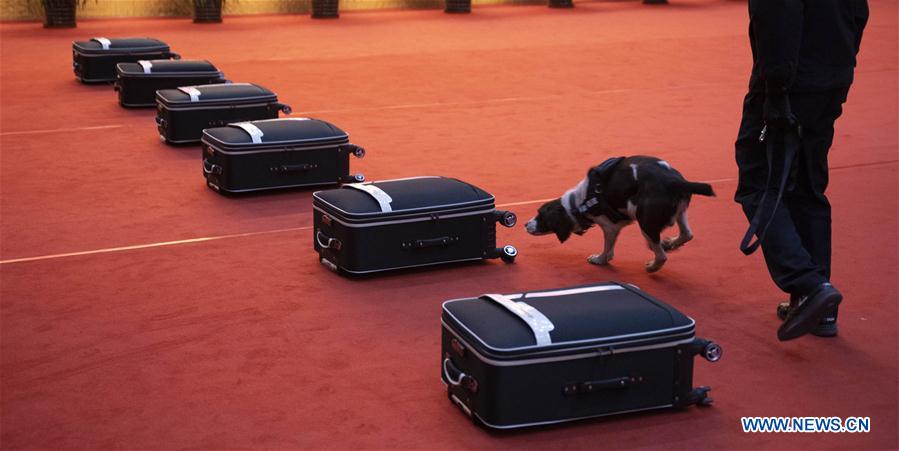 CHINA-BEIJING-POLICE DOG-SKILL COMPETITION (CN)