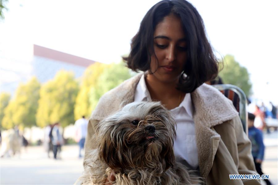 PAKISTAN-ISLAMABAD-DOG SHOW