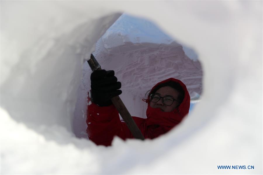 CHINA-HEILONGJIANG-HARBIN-SNOW SCULPTURE (CN)