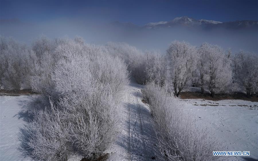 CHINA-TIBET-WINTER-RIME (CN)