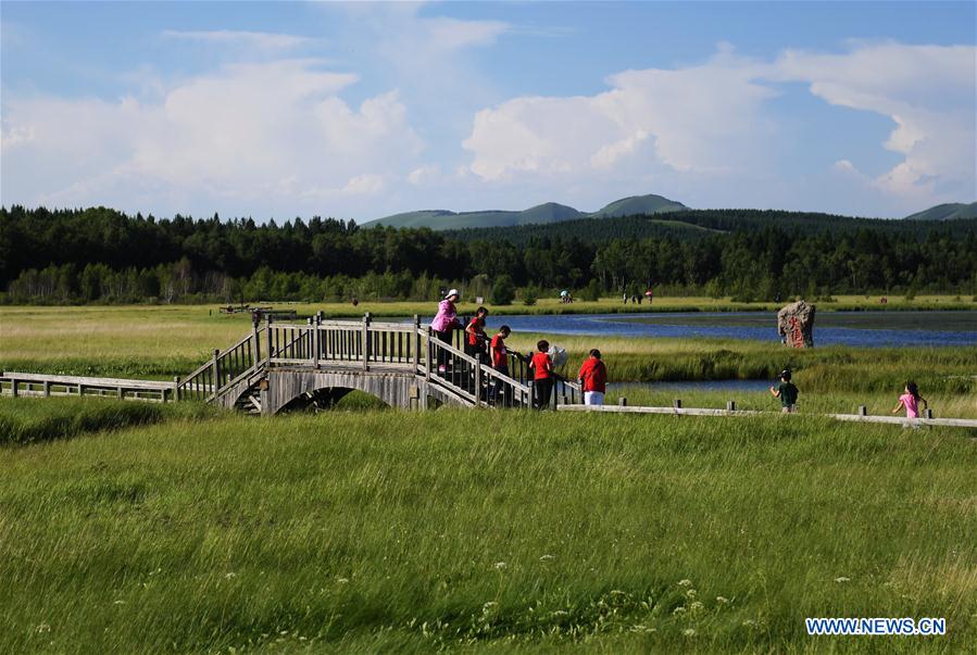 CHINA-ENVIRONMENT-DESERT CONTROL-AFFORESTATION (CN)