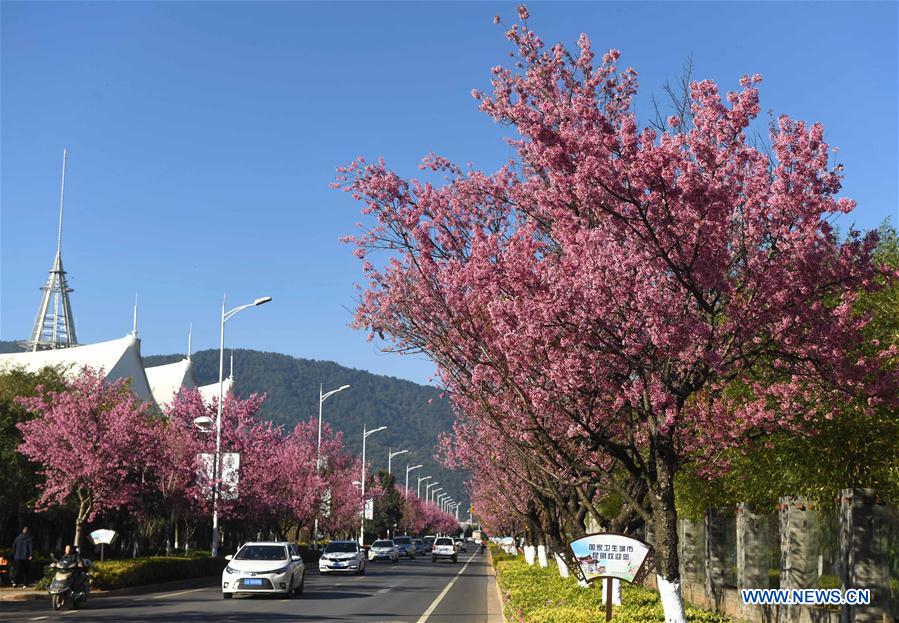 CHINA-YUNNAN-WEATHER (CN)