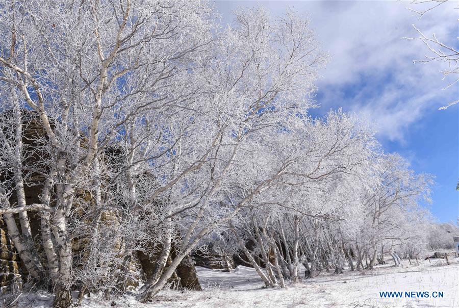 CHINA-INNER MONGOLIA-SNOW SCENERY (CN)