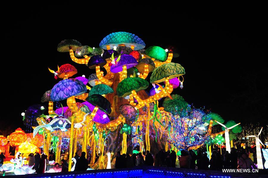 CHINA-HENAN-LANTERN FAIR (CN)