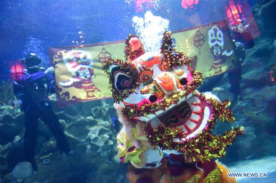 MALAYSIA-KUALA LUMPUR-UNDERWATER LION DANCE