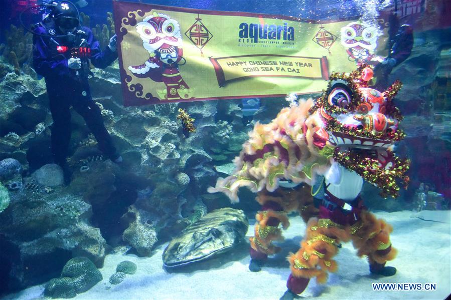 MALAYSIA-KUALA LUMPUR-UNDERWATER LION DANCE