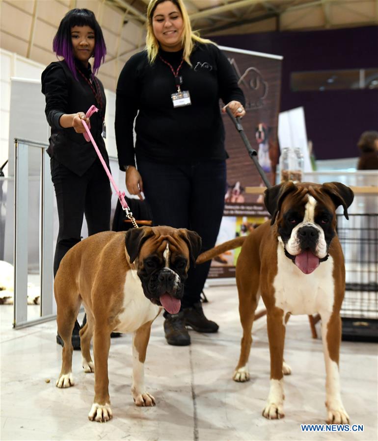 PORTUGAL-LISBON-PET SHOW