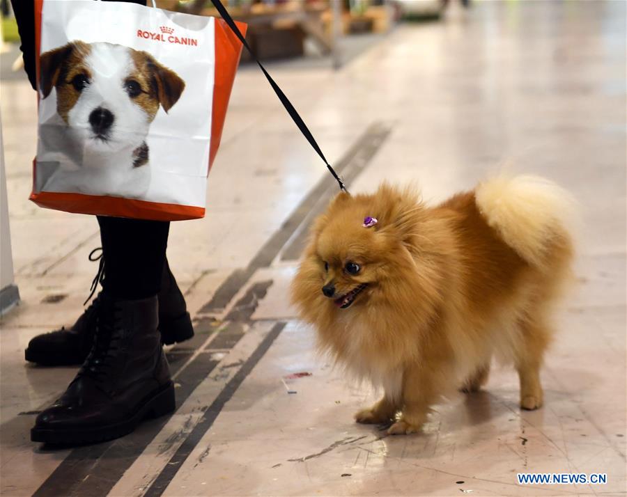 PORTUGAL-LISBON-PET SHOW