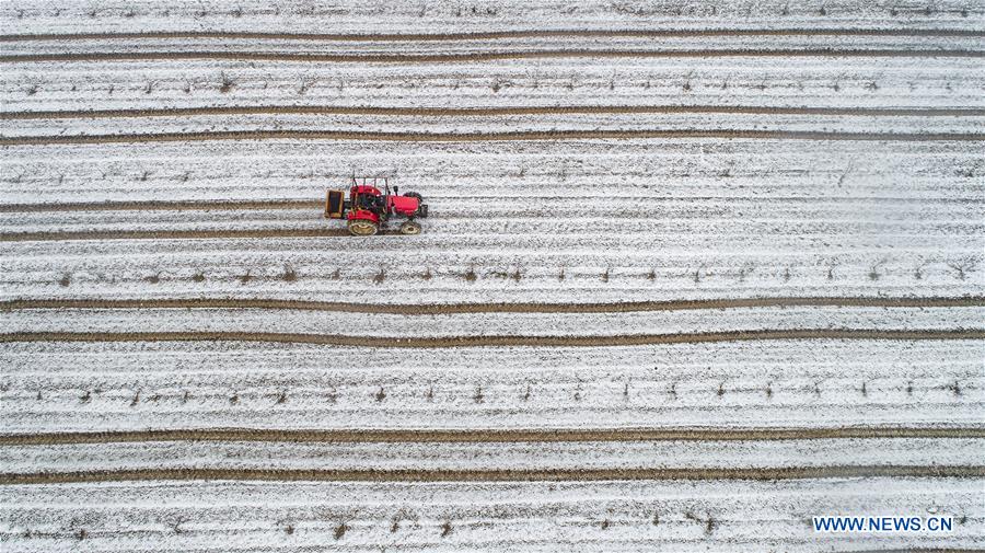 #CHINA-JIANGSU-SNOW-FARMLAND (CN)