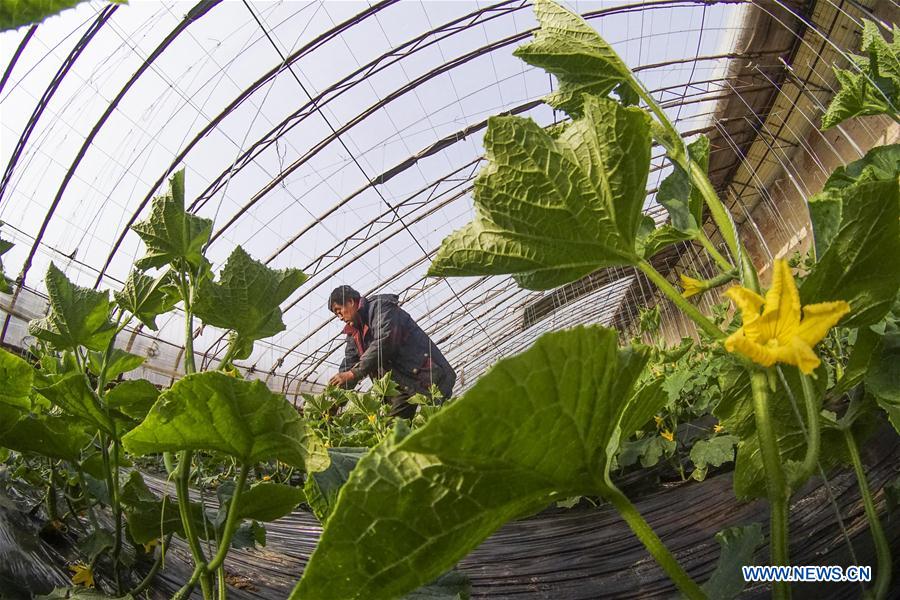 #CHINA-SPRING-FARMING (CN)