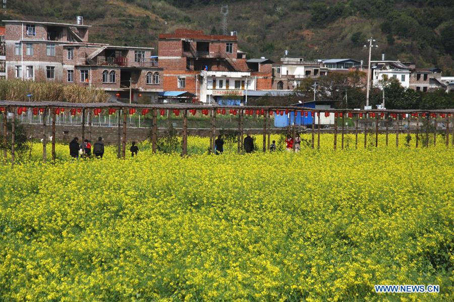 #CHINA-SPRING-FLOWERS (CN)