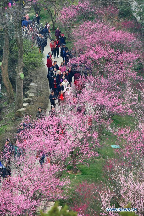 #CHINA-SPRING-SCENERY (CN)