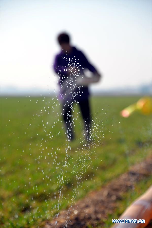 #CHINA-SPRING-FARMING (CN)